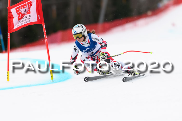 NJC  + FIS SG Damen, Götschen, 17.02.2020