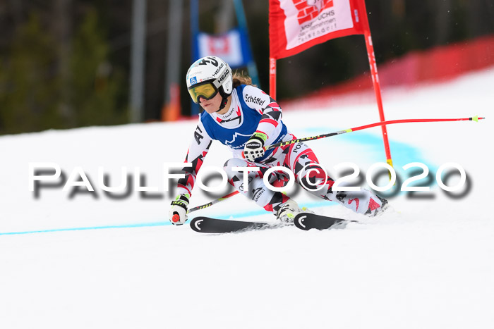 NJC  + FIS SG Damen, Götschen, 17.02.2020