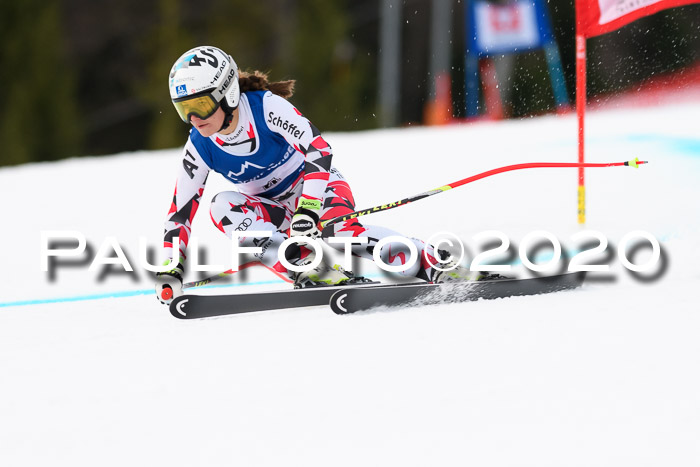 NJC  + FIS SG Damen, Götschen, 17.02.2020