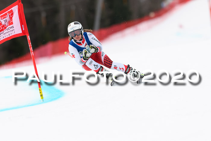 NJC  + FIS SG Damen, Götschen, 17.02.2020
