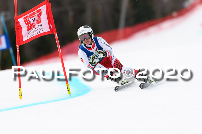 NJC  + FIS SG Damen, Götschen, 17.02.2020