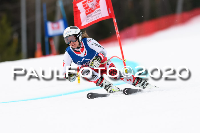 NJC  + FIS SG Damen, Götschen, 17.02.2020