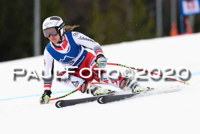 NJC  + FIS SG Damen, Götschen, 17.02.2020