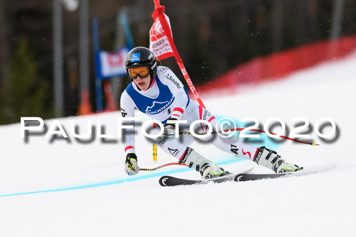 NJC  + FIS SG Damen, Götschen, 17.02.2020