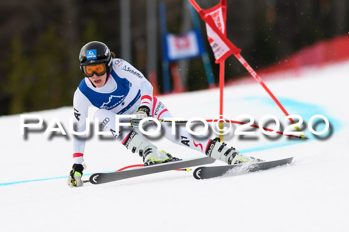 NJC  + FIS SG Damen, Götschen, 17.02.2020