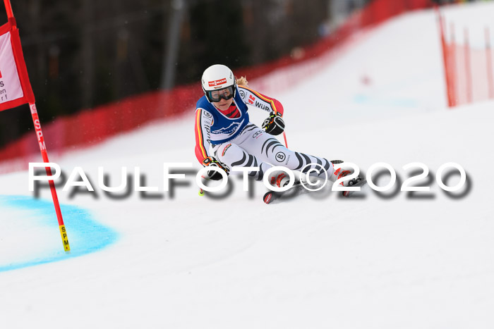 NJC  + FIS SG Damen, Götschen, 17.02.2020