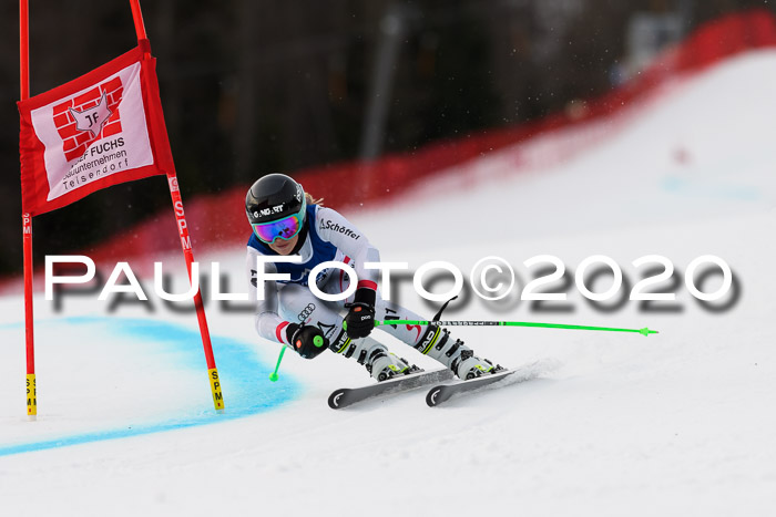 NJC  + FIS SG Damen, Götschen, 17.02.2020
