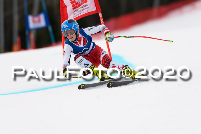 NJC  + FIS SG Damen, Götschen, 17.02.2020
