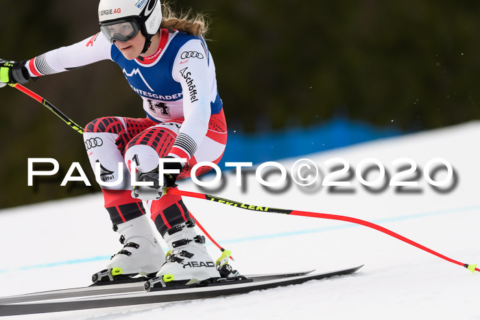 NJC  + FIS SG Damen, Götschen, 17.02.2020