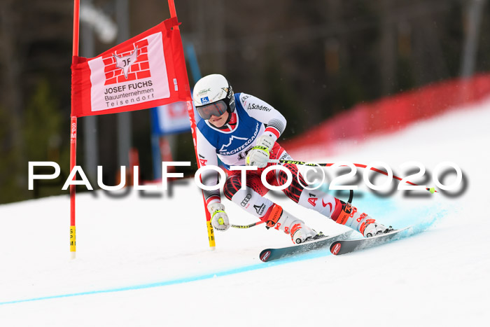 NJC  + FIS SG Damen, Götschen, 17.02.2020