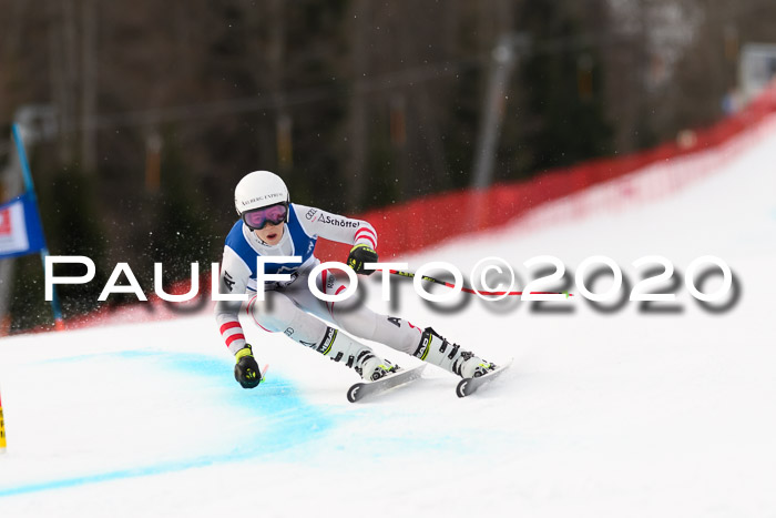 NJC  + FIS SG Damen, Götschen, 17.02.2020