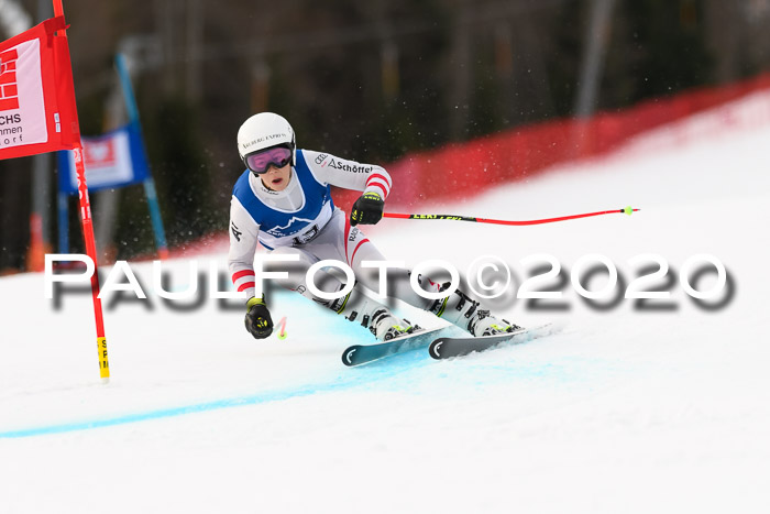 NJC  + FIS SG Damen, Götschen, 17.02.2020