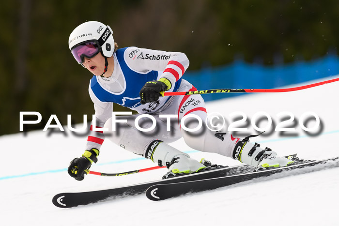 NJC  + FIS SG Damen, Götschen, 17.02.2020