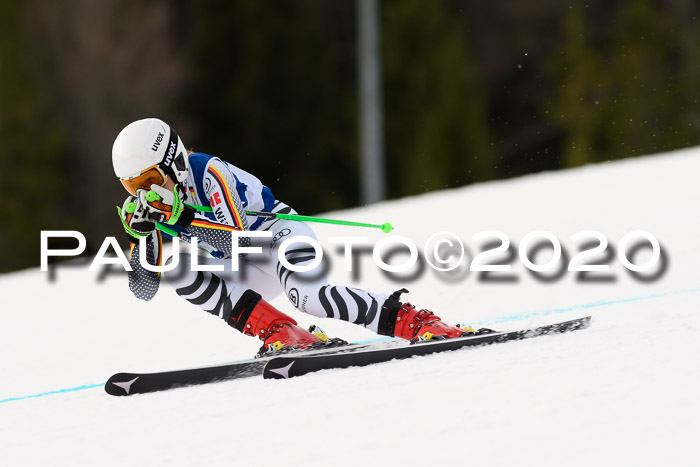 NJC  + FIS SG Damen, Götschen, 17.02.2020