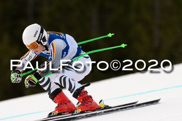 NJC  + FIS SG Damen, Götschen, 17.02.2020