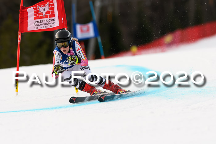 NJC  + FIS SG Damen, Götschen, 17.02.2020