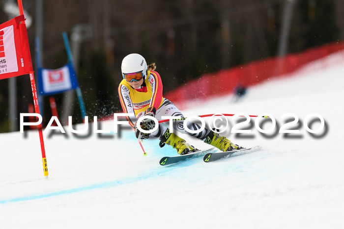 NJC  + FIS SG Damen, Götschen, 17.02.2020