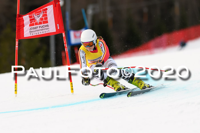 NJC  + FIS SG Damen, Götschen, 17.02.2020