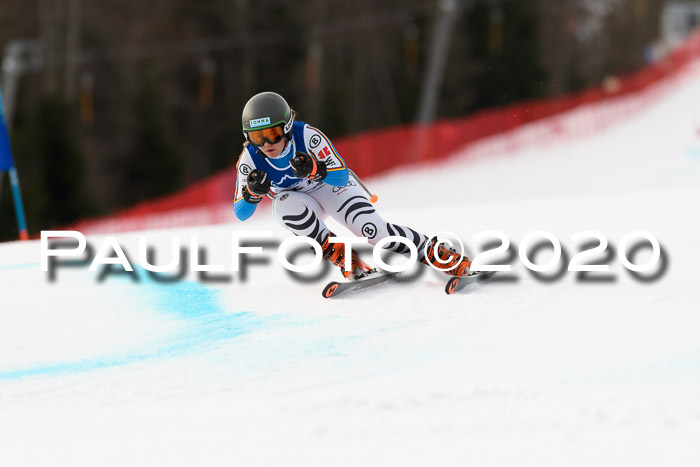 NJC  + FIS SG Damen, Götschen, 17.02.2020
