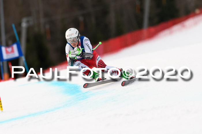 NJC  + FIS SG Damen, Götschen, 17.02.2020