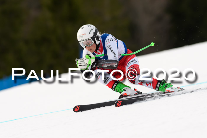 NJC  + FIS SG Damen, Götschen, 17.02.2020