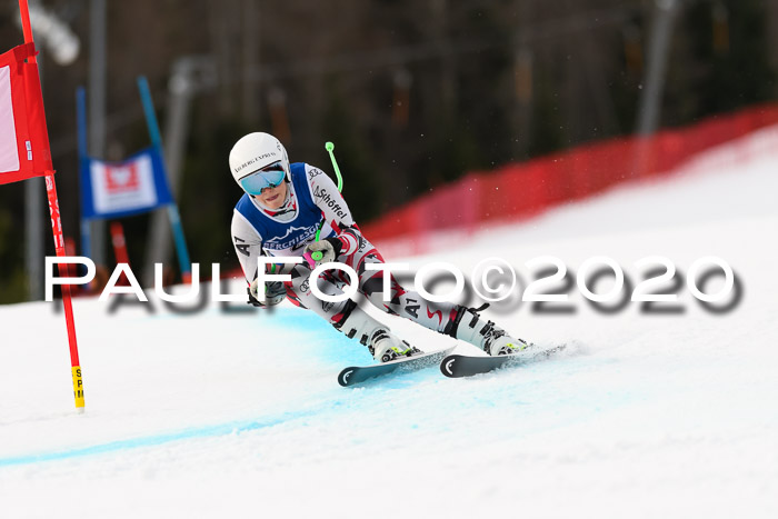 NJC  + FIS SG Damen, Götschen, 17.02.2020