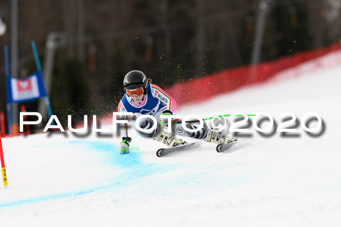 NJC  + FIS SG Damen, Götschen, 17.02.2020