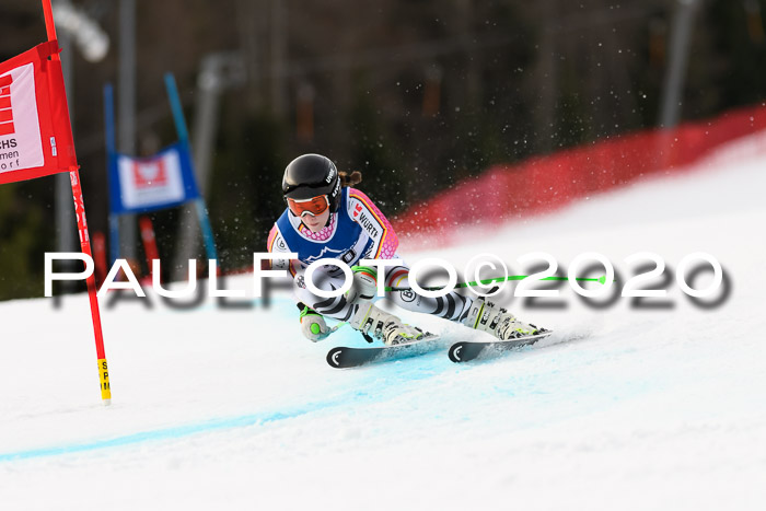 NJC  + FIS SG Damen, Götschen, 17.02.2020