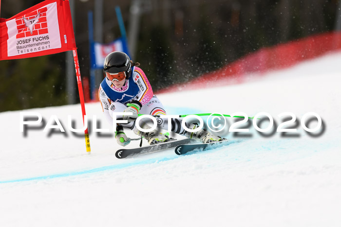 NJC  + FIS SG Damen, Götschen, 17.02.2020