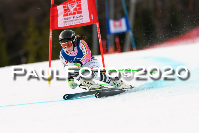 NJC  + FIS SG Damen, Götschen, 17.02.2020