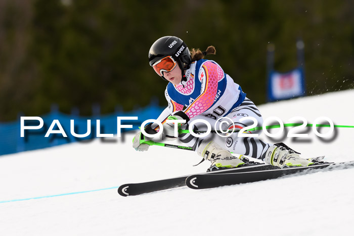 NJC  + FIS SG Damen, Götschen, 17.02.2020