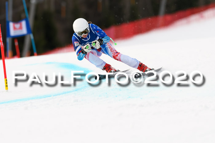 NJC  + FIS SG Damen, Götschen, 17.02.2020