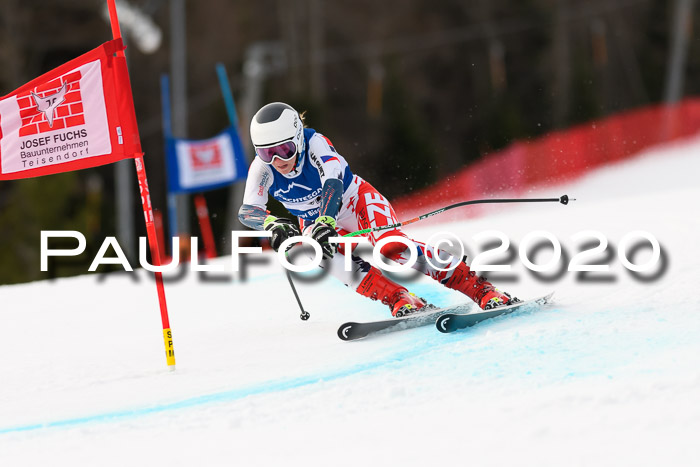 NJC  + FIS SG Damen, Götschen, 17.02.2020