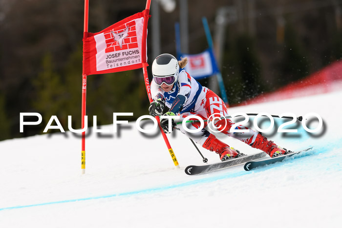 NJC  + FIS SG Damen, Götschen, 17.02.2020