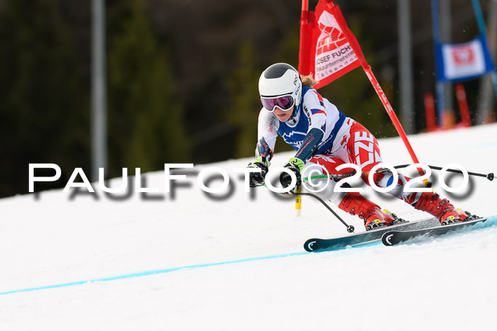NJC  + FIS SG Damen, Götschen, 17.02.2020
