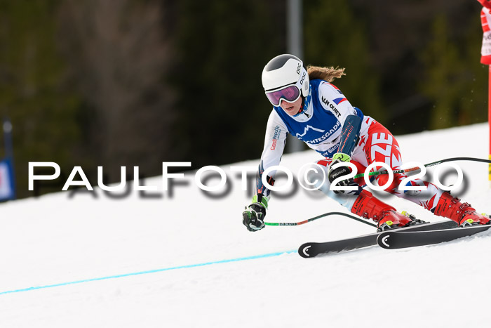 NJC  + FIS SG Damen, Götschen, 17.02.2020