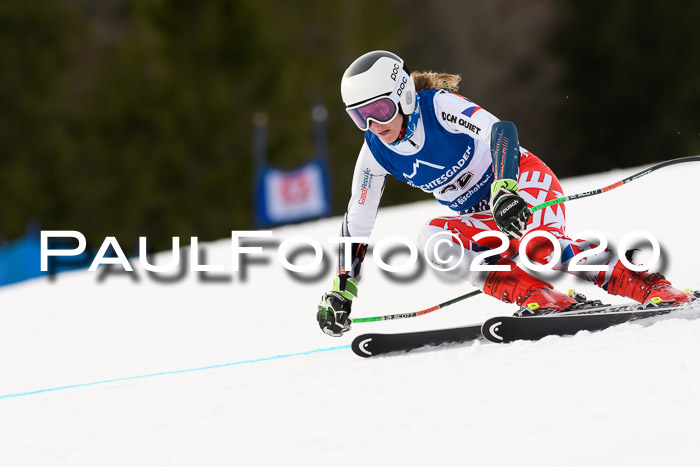 NJC  + FIS SG Damen, Götschen, 17.02.2020