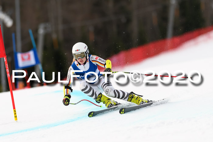 NJC  + FIS SG Damen, Götschen, 17.02.2020