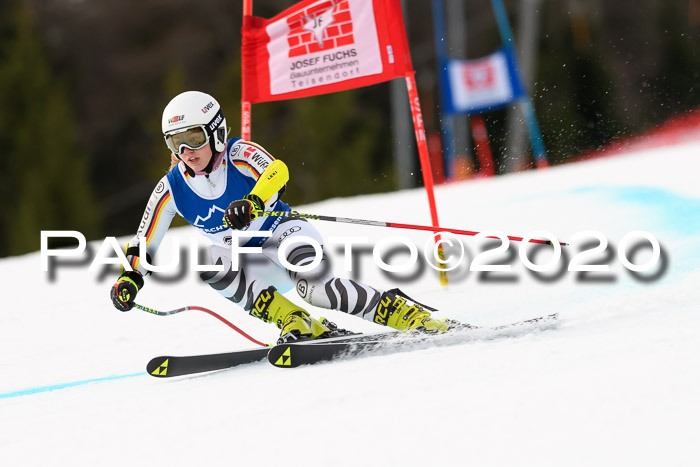 NJC  + FIS SG Damen, Götschen, 17.02.2020