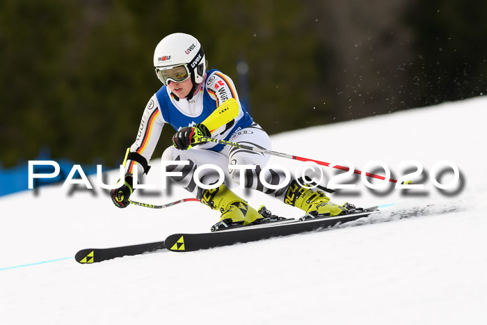 NJC  + FIS SG Damen, Götschen, 17.02.2020