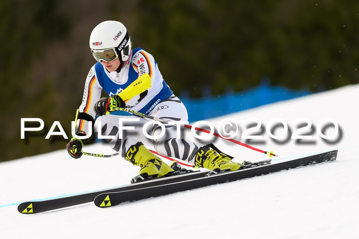 NJC  + FIS SG Damen, Götschen, 17.02.2020