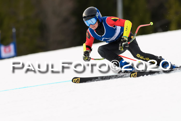 NJC  + FIS SG Damen, Götschen, 17.02.2020