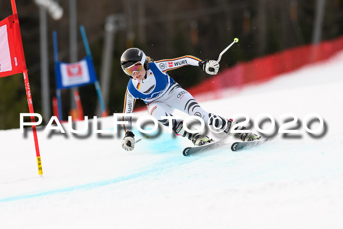 NJC  + FIS SG Damen, Götschen, 17.02.2020