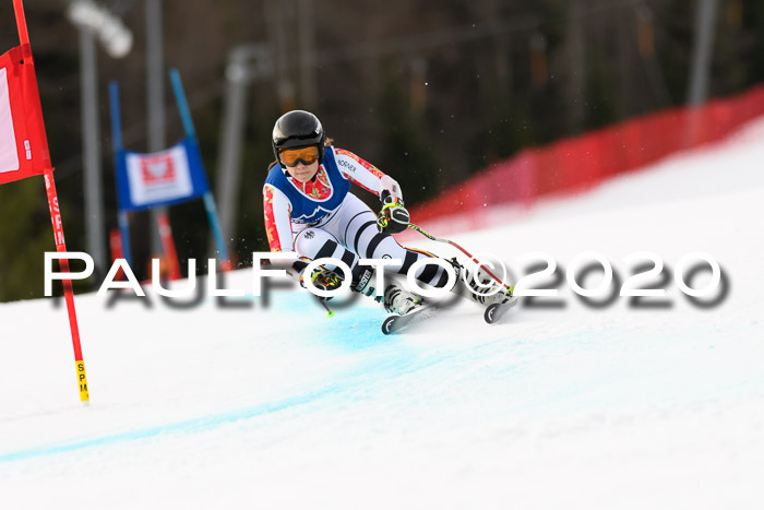 NJC  + FIS SG Damen, Götschen, 17.02.2020