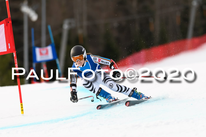 NJC  + FIS SG Damen, Götschen, 17.02.2020