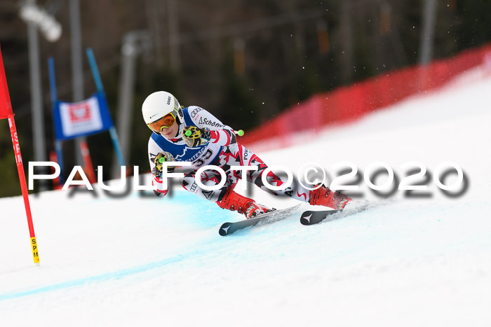 NJC  + FIS SG Damen, Götschen, 17.02.2020