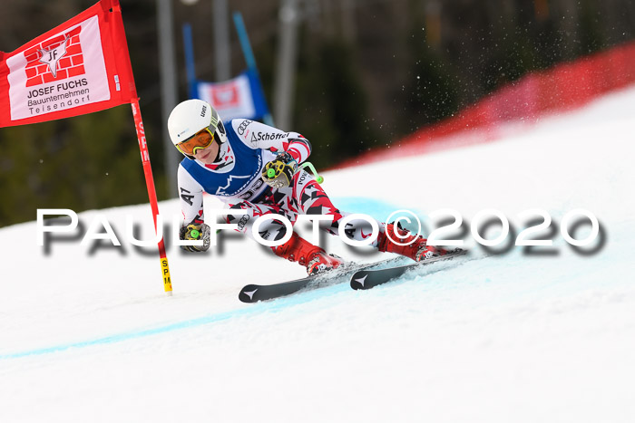 NJC  + FIS SG Damen, Götschen, 17.02.2020