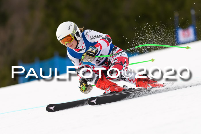 NJC  + FIS SG Damen, Götschen, 17.02.2020