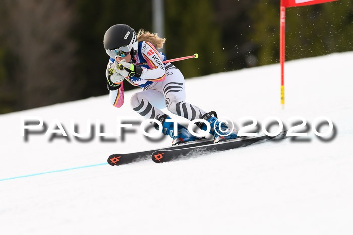 NJC  + FIS SG Damen, Götschen, 17.02.2020
