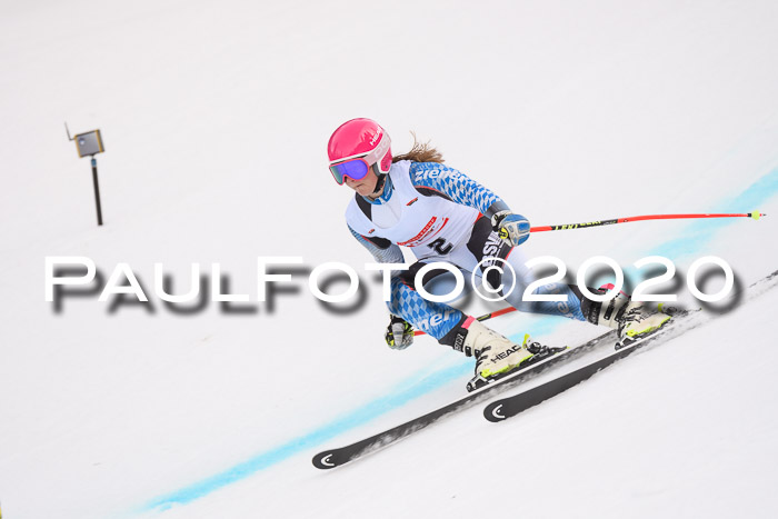 DSV Schülercup U16 SG 17.02.2020